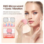 EMS Rejuvenation Face Lift USB